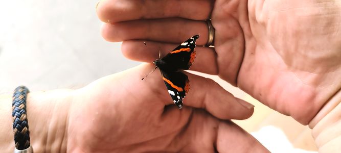 Besucher in unserem Garten