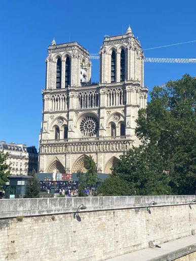 Weiter ging es zur Katredrale Notre-Dame de Paris