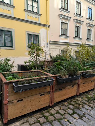 Hochbeete vor dem Haus