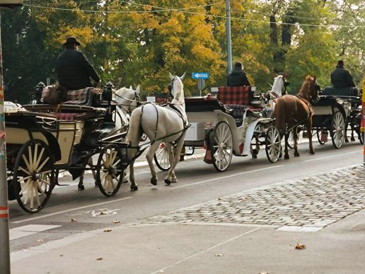 Immer noch traditionell in Wien